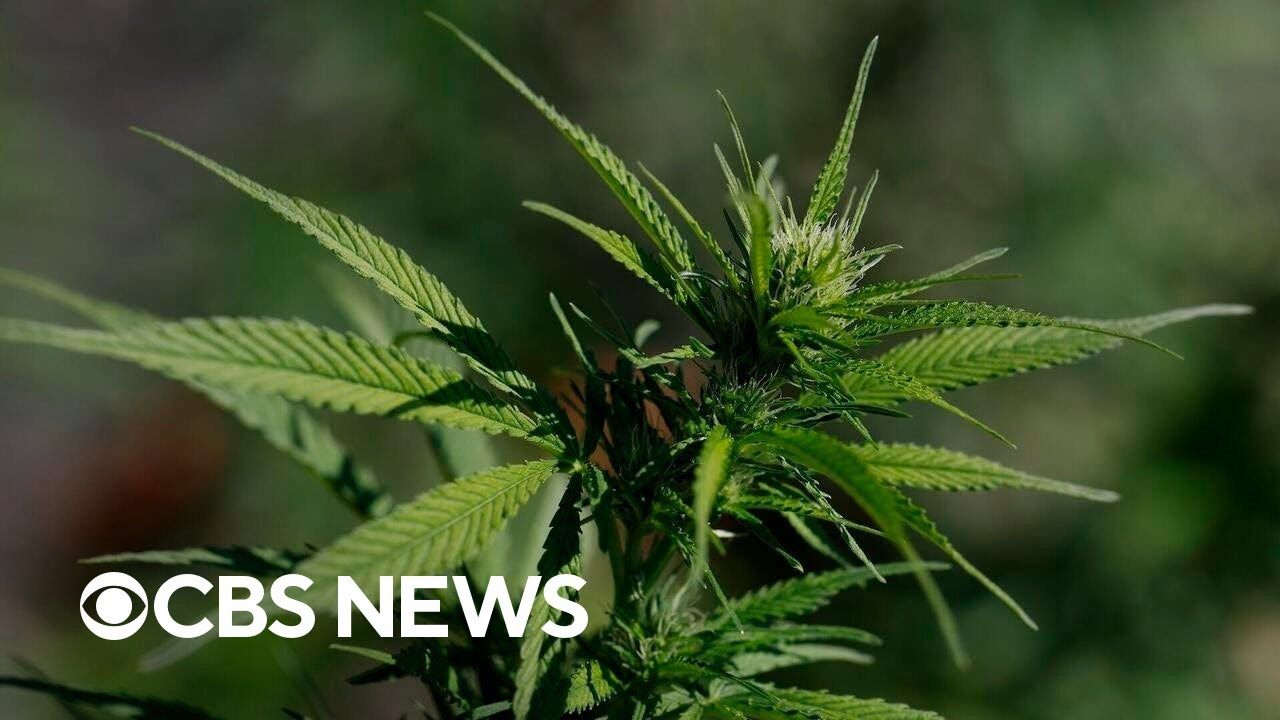 1762000316 maxresdefault.jpg