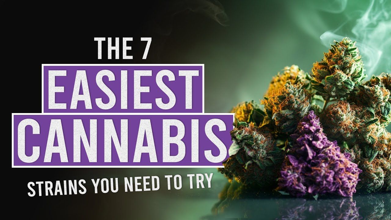 1764255706 maxresdefault.jpg