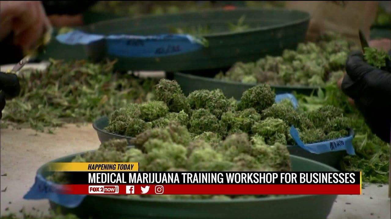 Missouri medical cannabis workshop.jpg