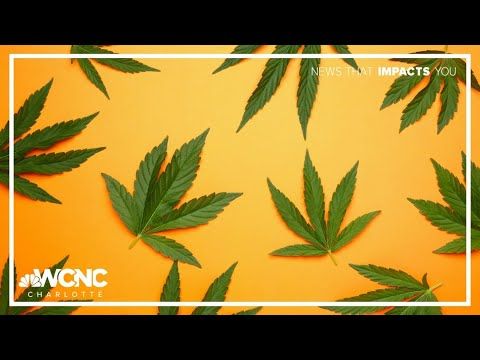 1771308547 hqdefault.jpg