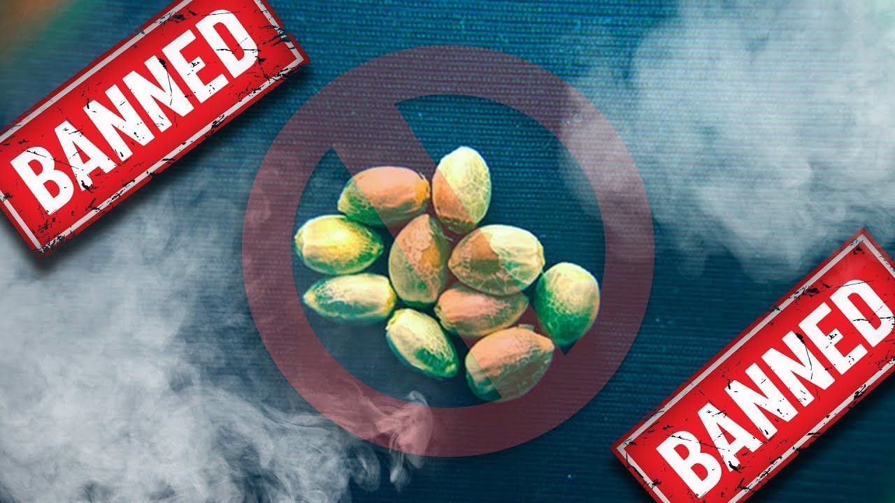 1765380239 maxresdefault.jpg