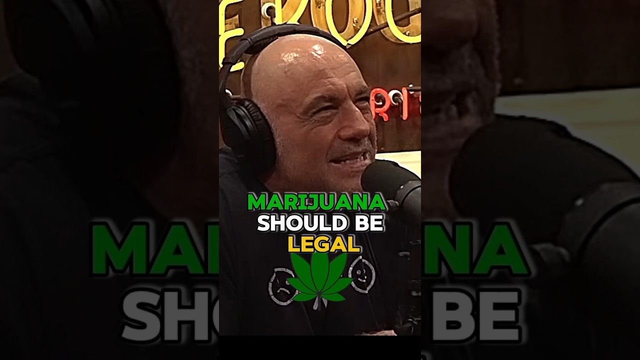 1790476558 maxresdefault.jpg