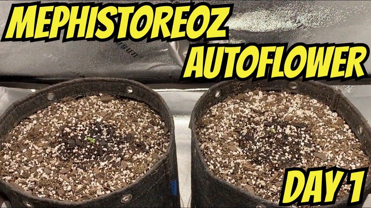 1761091135 maxresdefault.jpg