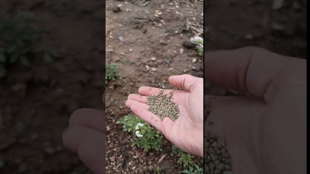 1760875303 maxresdefault.jpg