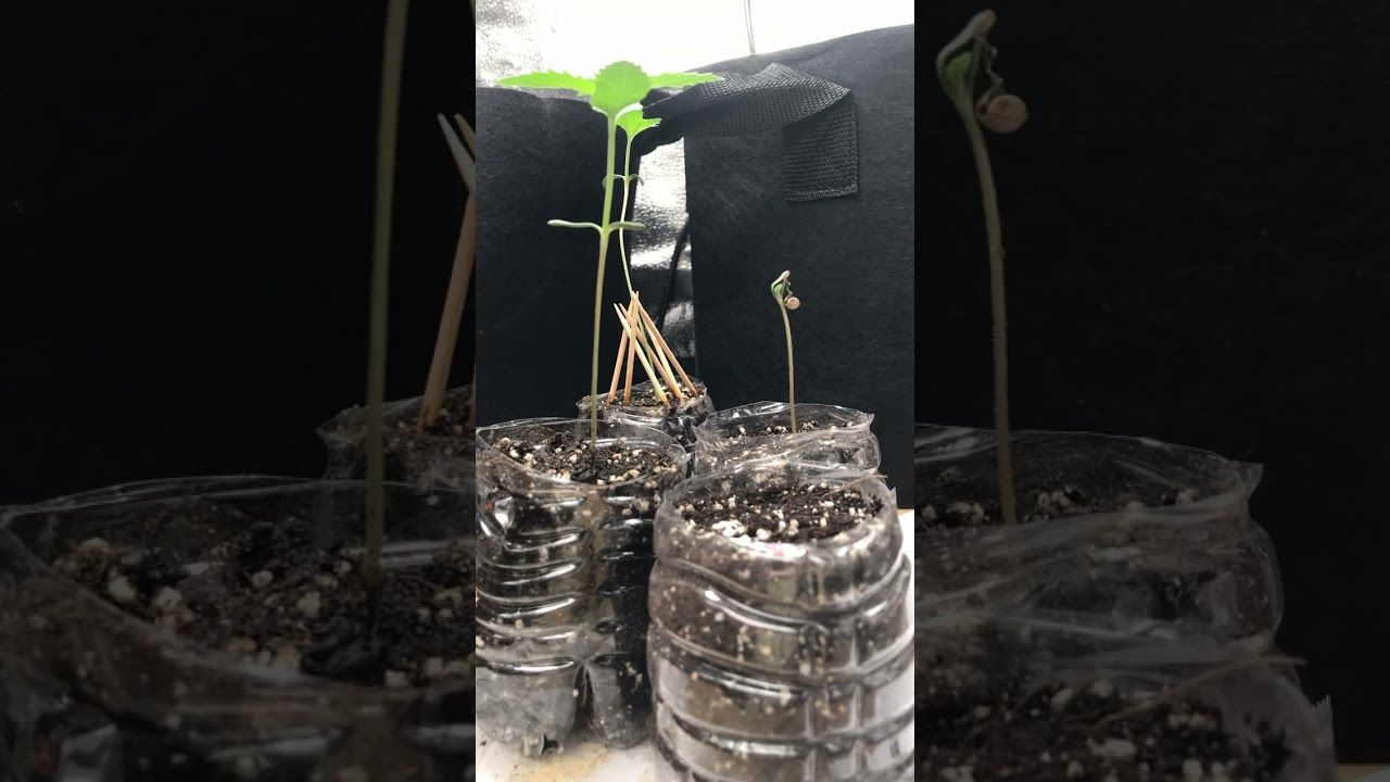 1762605311 maxresdefault.jpg