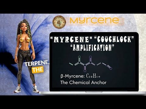 1760832111 hqdefault.jpg