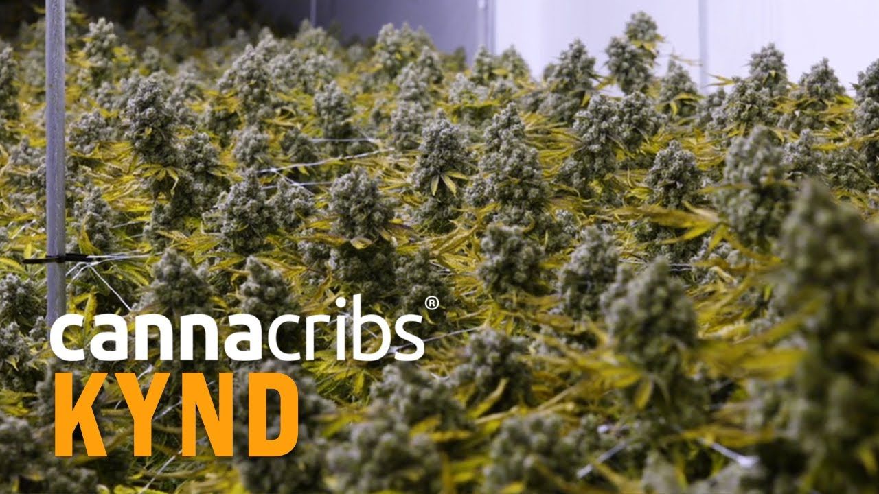 1762691930 maxresdefault.jpg