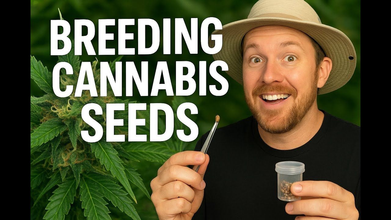 1761048310 maxresdefault.jpg