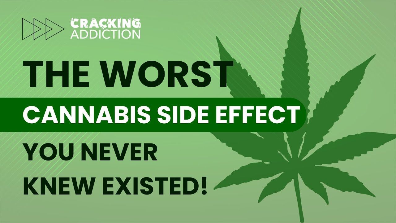 1771827684 maxresdefault.jpg