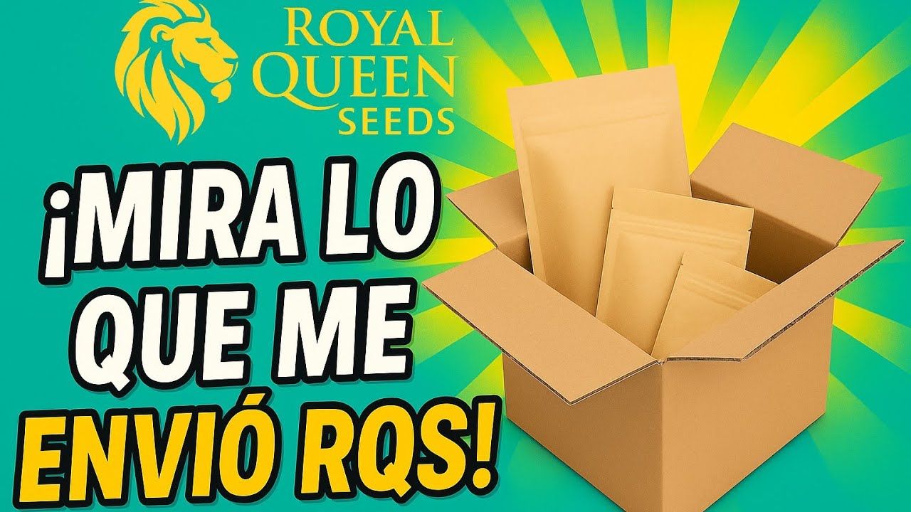 1761437606 maxresdefault.jpg