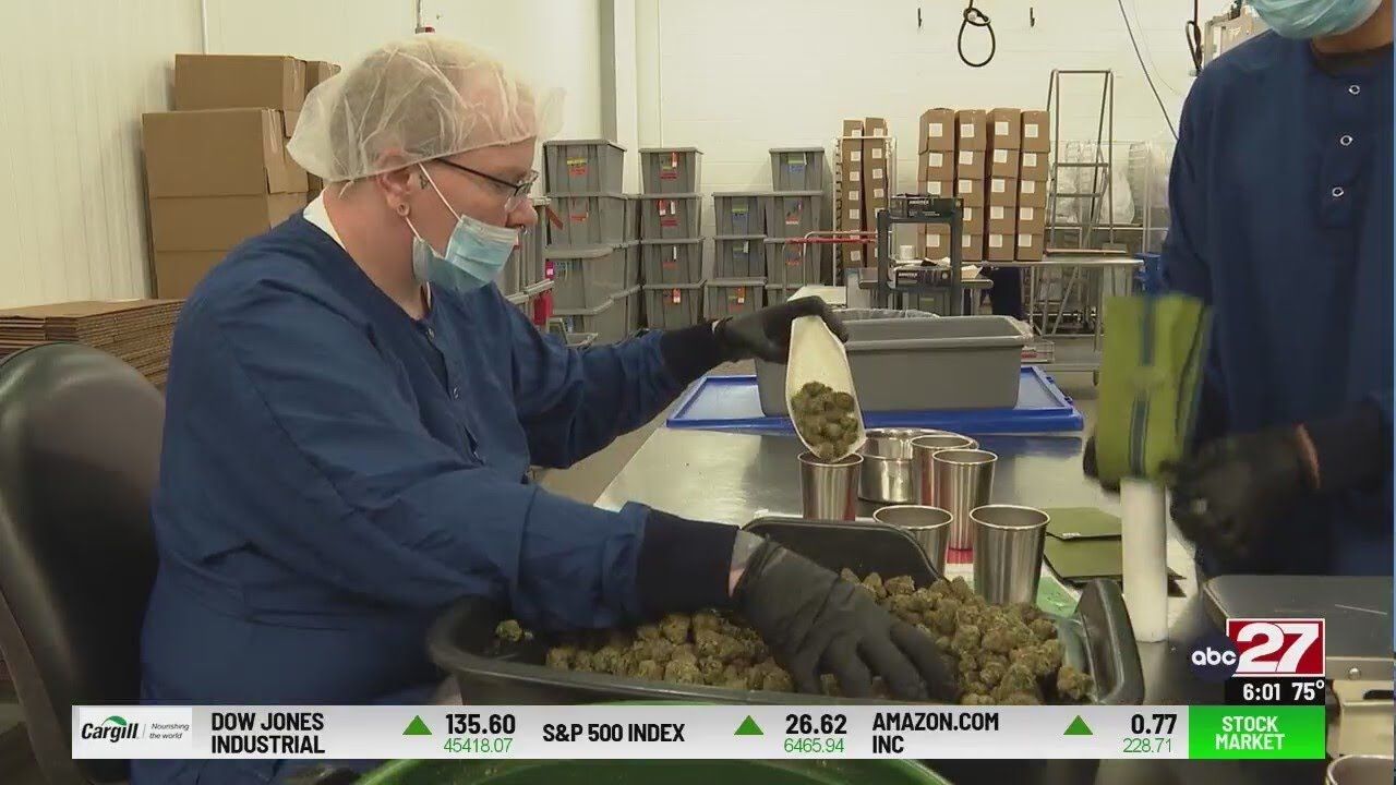 Inside look at a pennsylvania medical marijuana facility as lawmakers.jpg