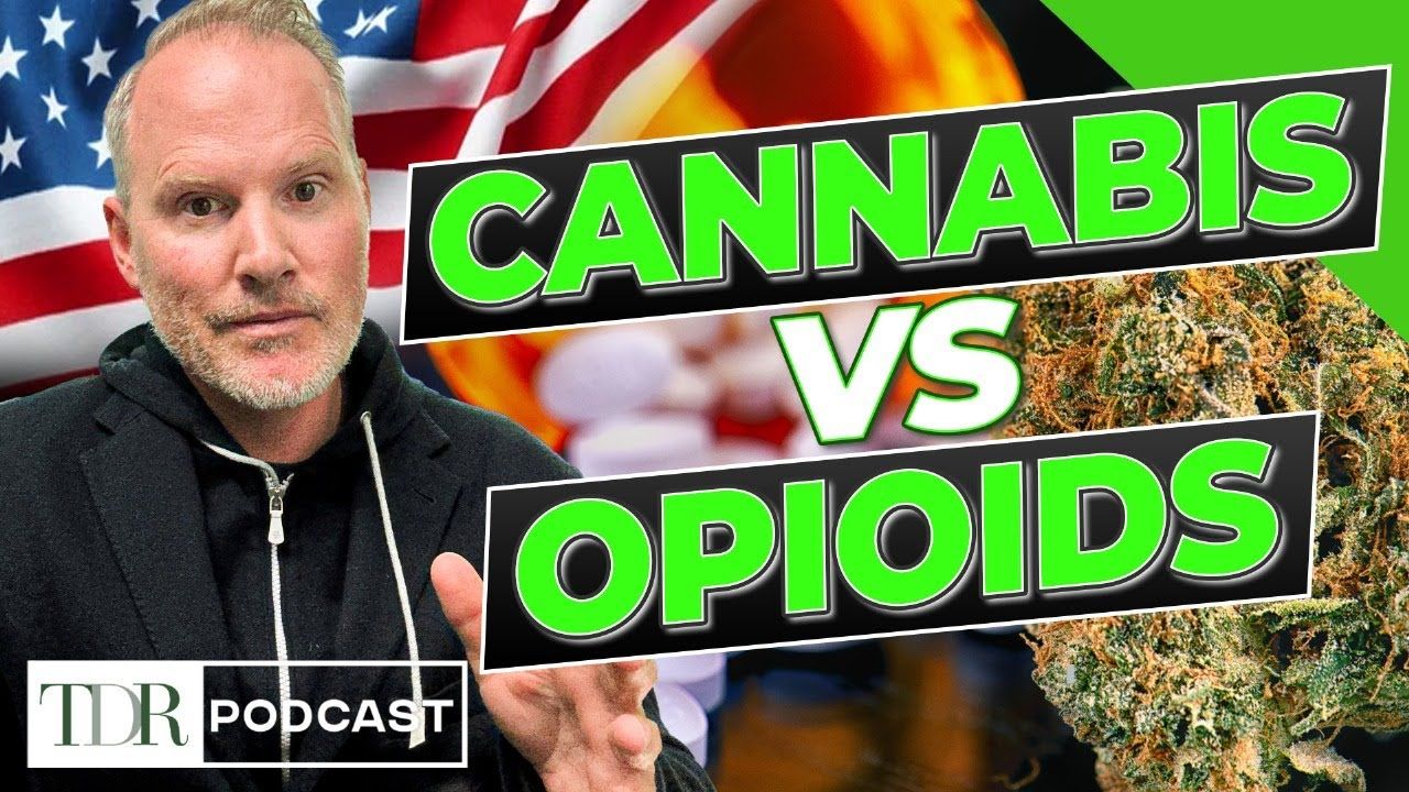 Medical cannabis cuts opioid prescriptions tdr cannabis in 5.jpg