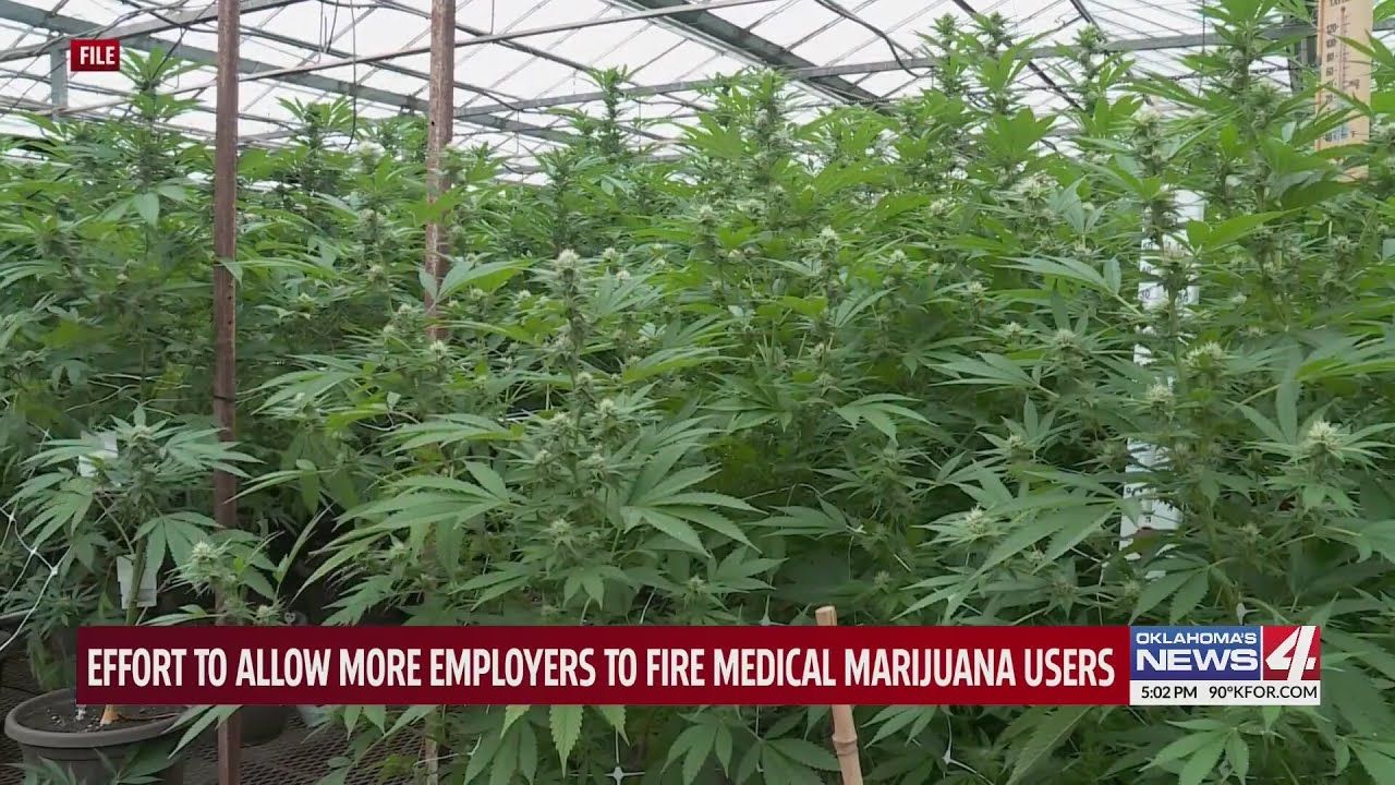 Effort to allow more employers to fire medical marijuana users.jpg