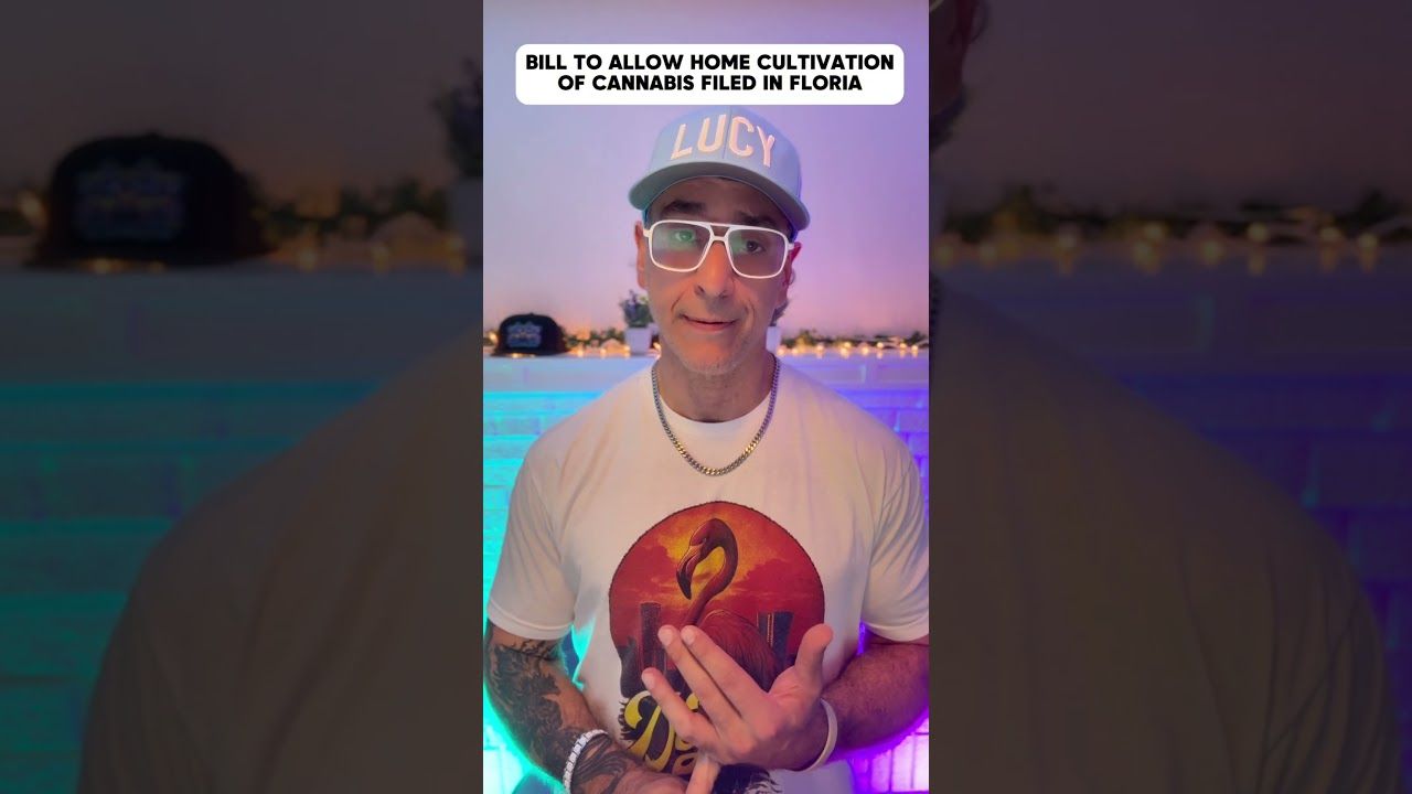 Florida marijuana home grow bill 2026 sb776.jpg