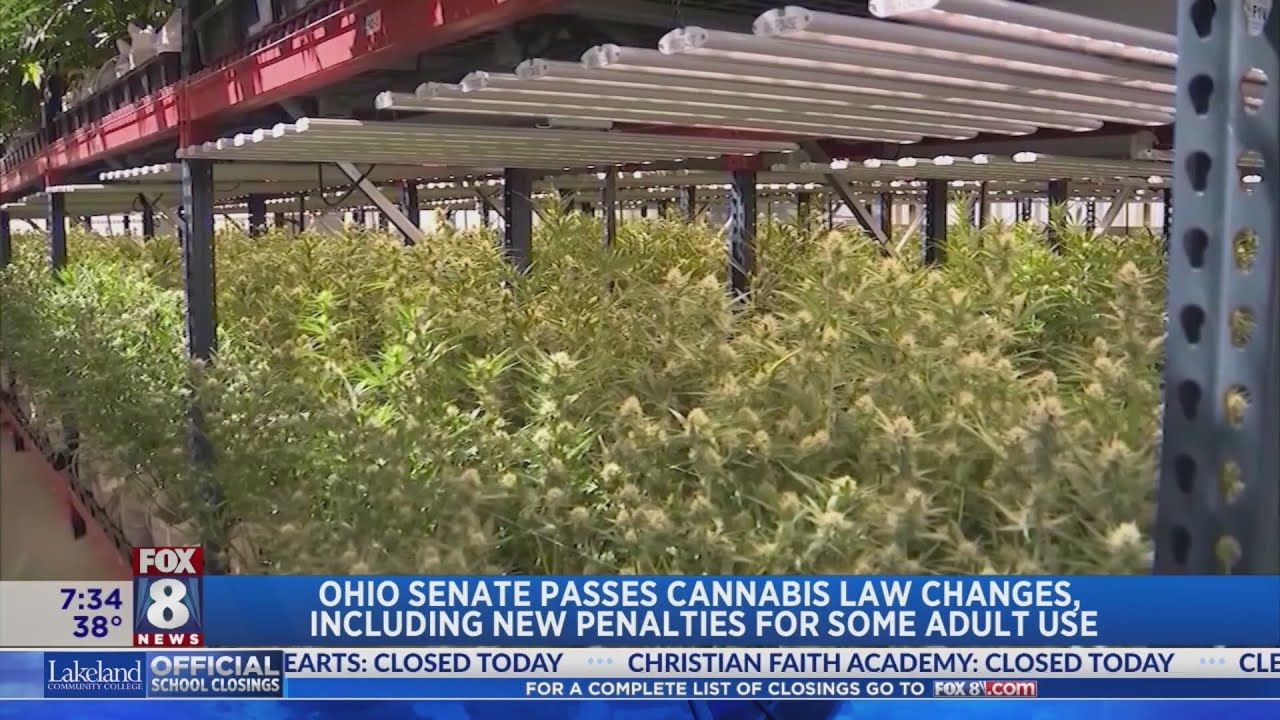 1767889955 maxresdefault.jpg