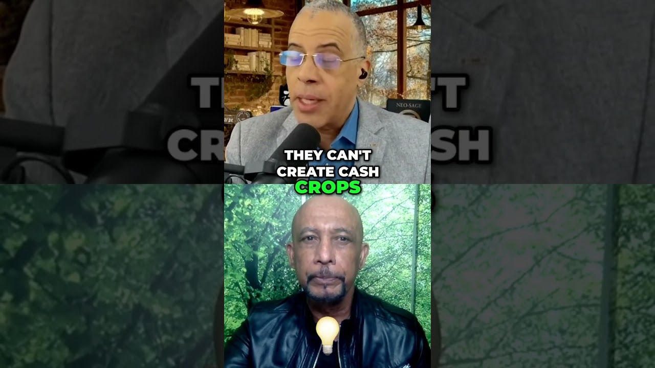 1771914305 maxresdefault.jpg