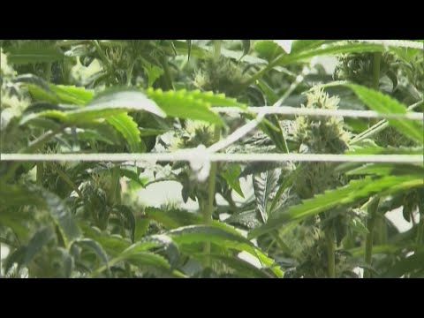 1766375739 hqdefault.jpg