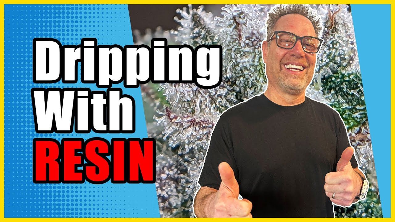 1771733755 maxresdefault.jpg