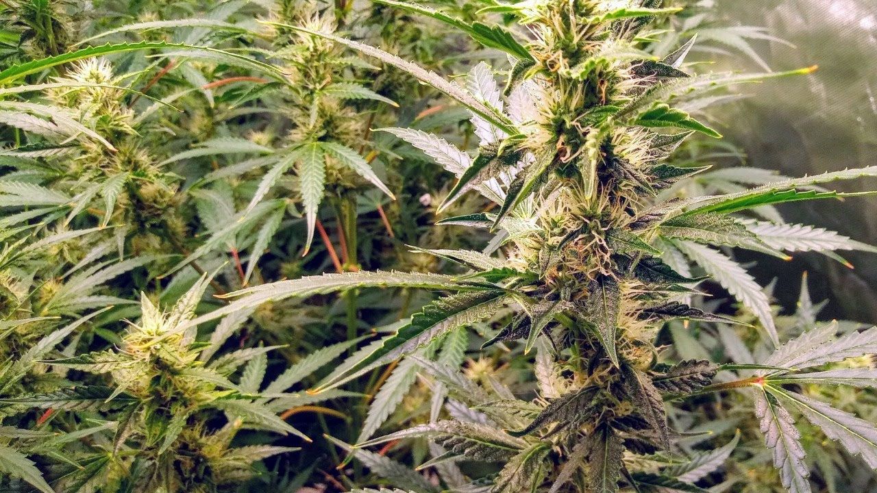 1761610750 maxresdefault.jpg