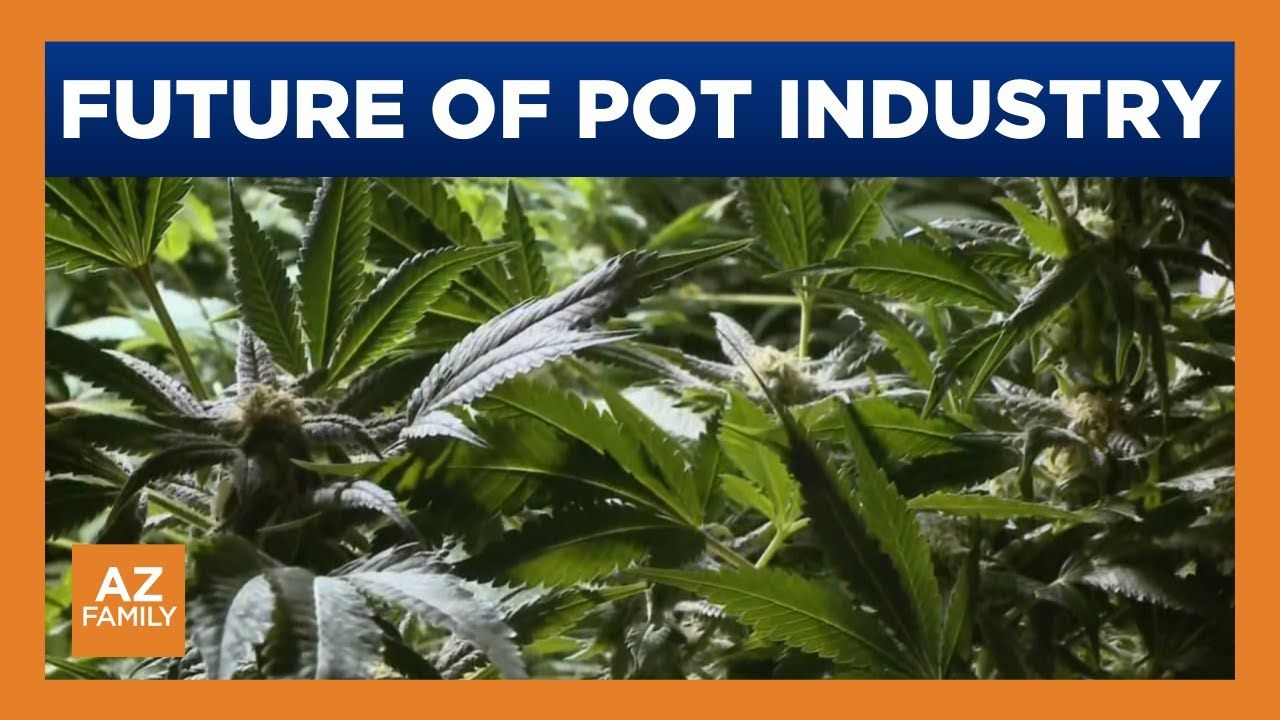 Arizona dispensary reacts to possible reclassification of marijuana.jpg