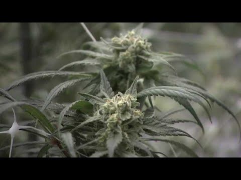 1773731949 hqdefault.jpg