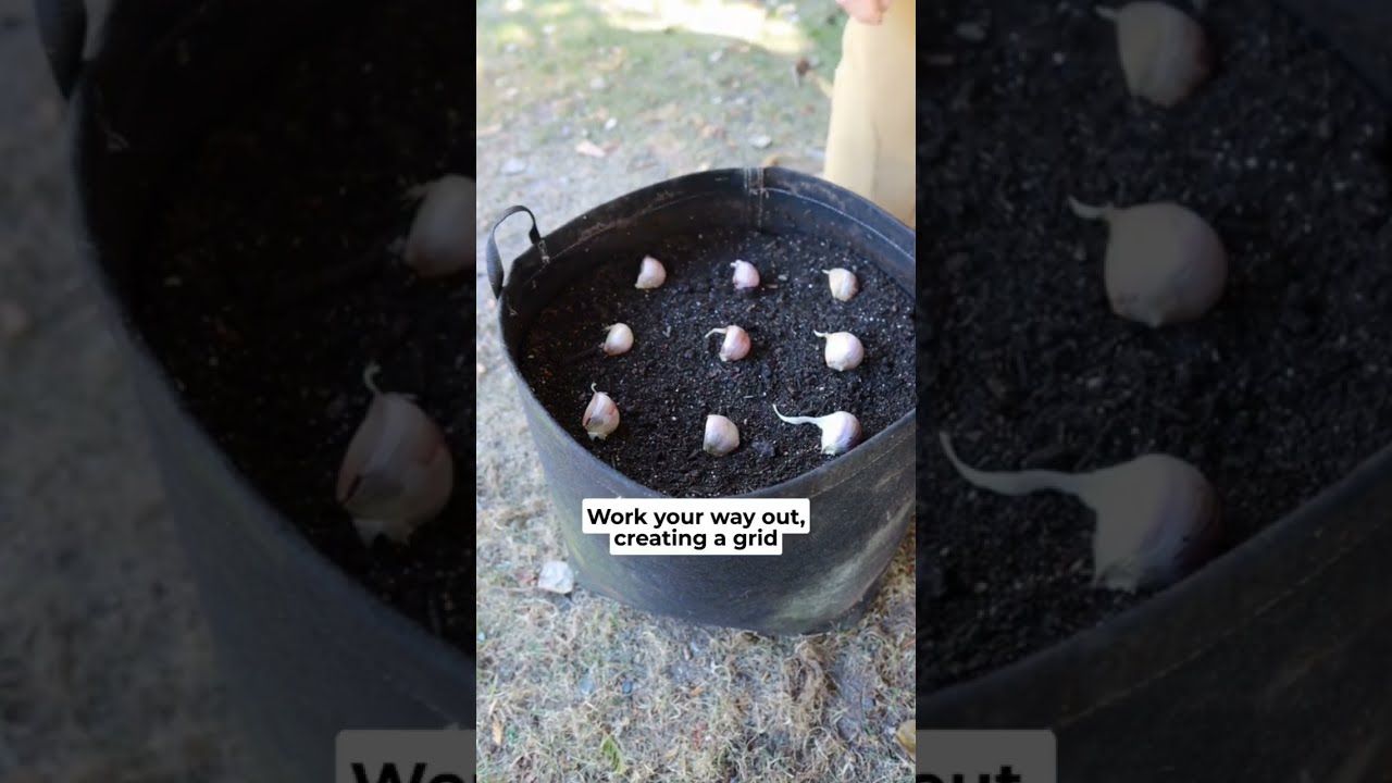 1766202836 maxresdefault.jpg