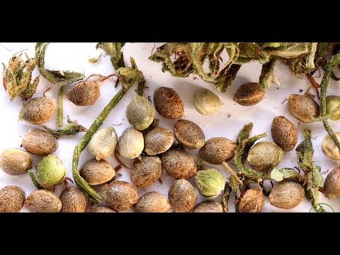 1767932879 hqdefault.jpg