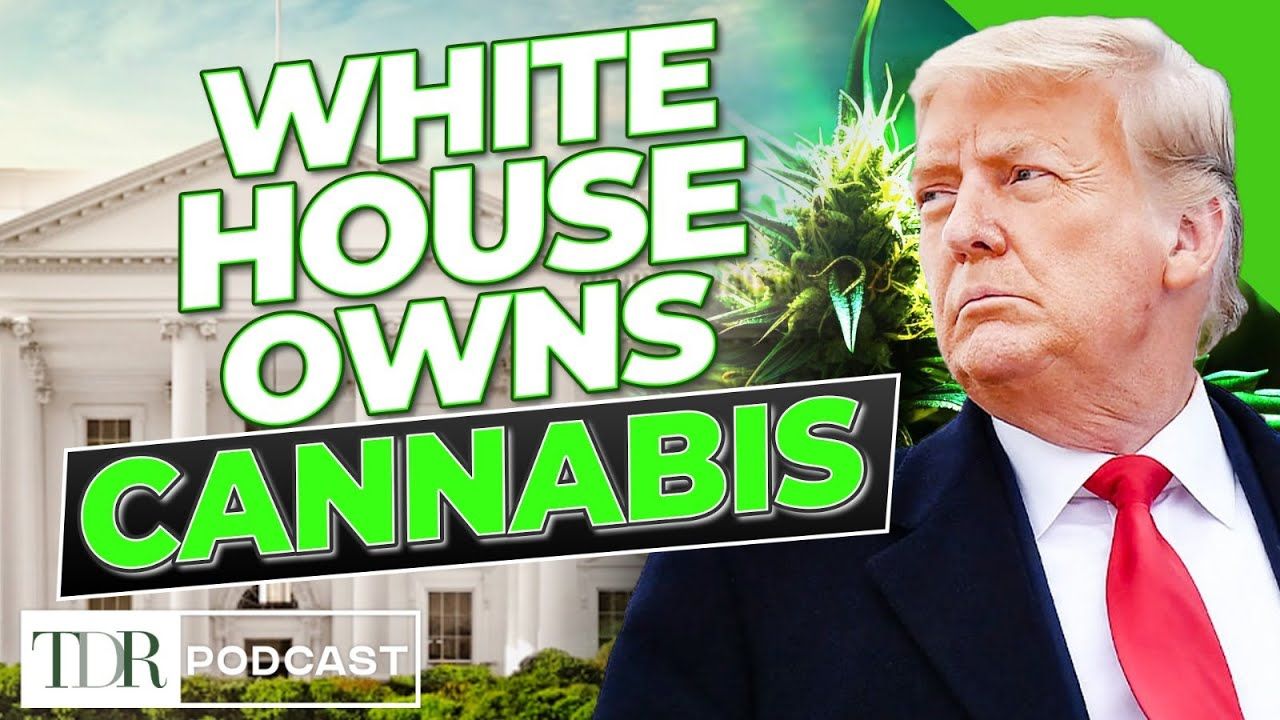 1769188129 maxresdefault.jpg