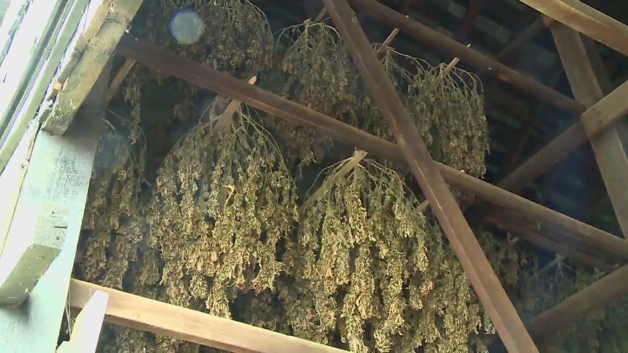 1763606769 maxresdefault.jpg