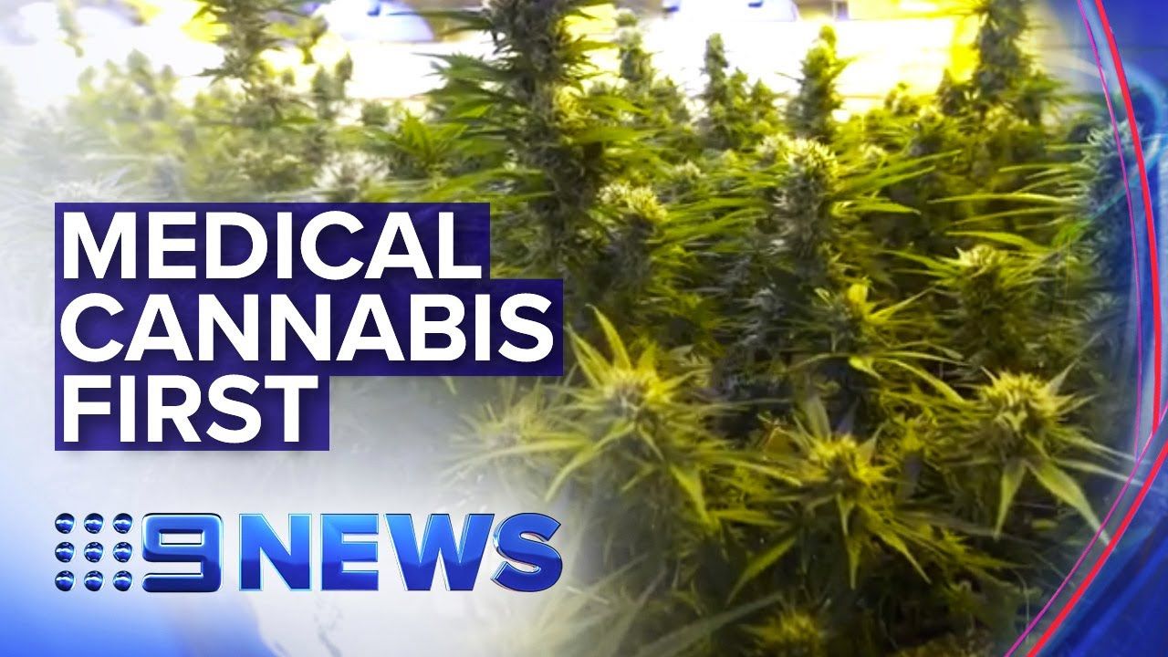 Inside was top secret medical cannabis facility nine news.jpg