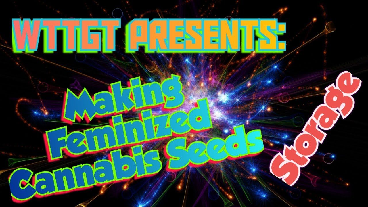 1773904614 maxresdefault.jpg