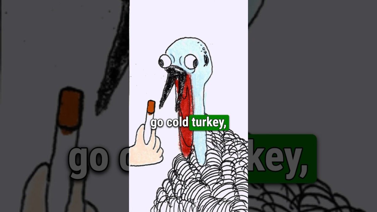 1781130225 maxresdefault.jpg