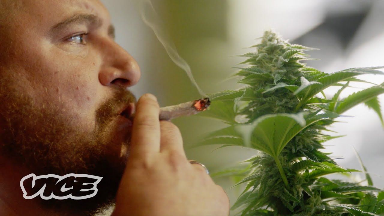 Why marijuana could help save veteran lives weediquette.jpg