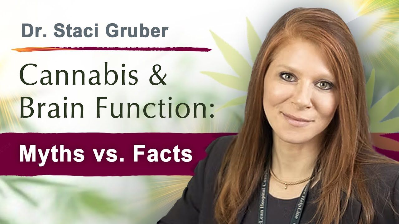 Dr staci gruber clarifying cannabis cognition the impact of.jpg
