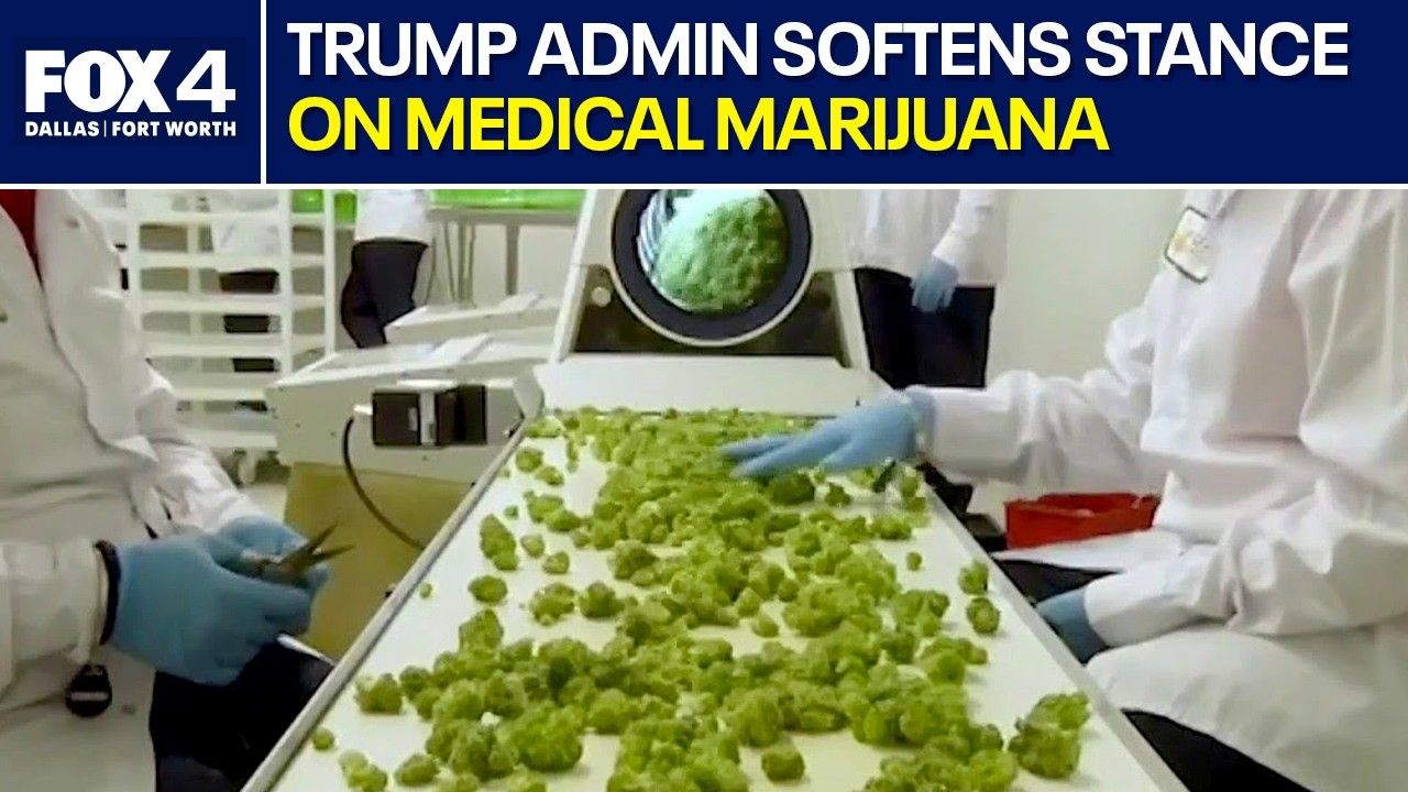 Trump admin softens classification of medical marijuana.jpg