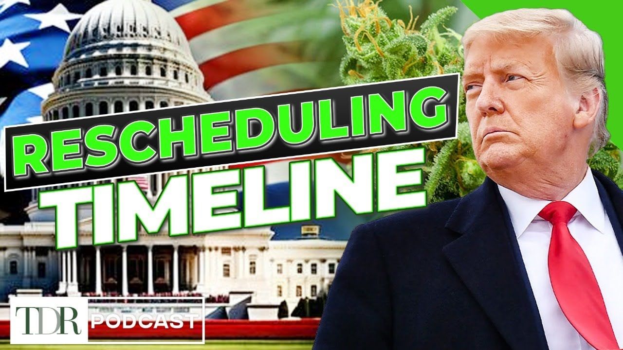 What cannabis rescheduling actually means tdr cannabis in 5.jpg