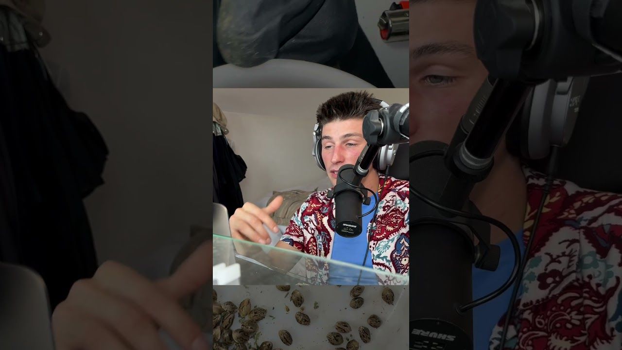 1785110646 maxresdefault.jpg