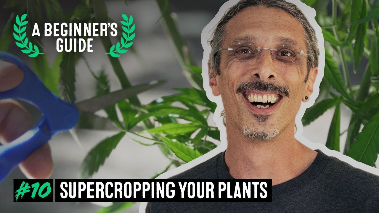 1763212262 maxresdefault.jpg