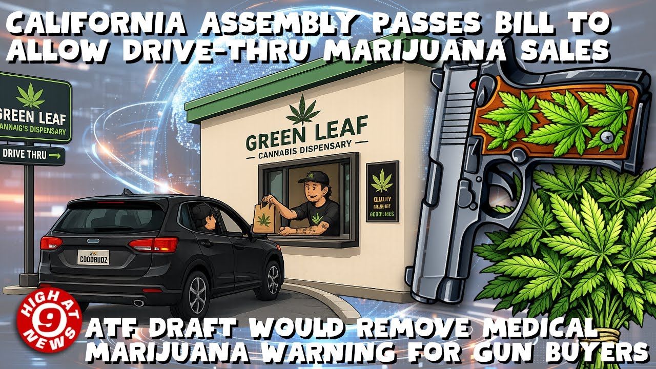 Firearms form would remove medical marijuana warning for gun buyers.jpg