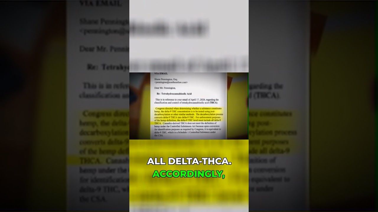 1762519706 maxresdefault.jpg