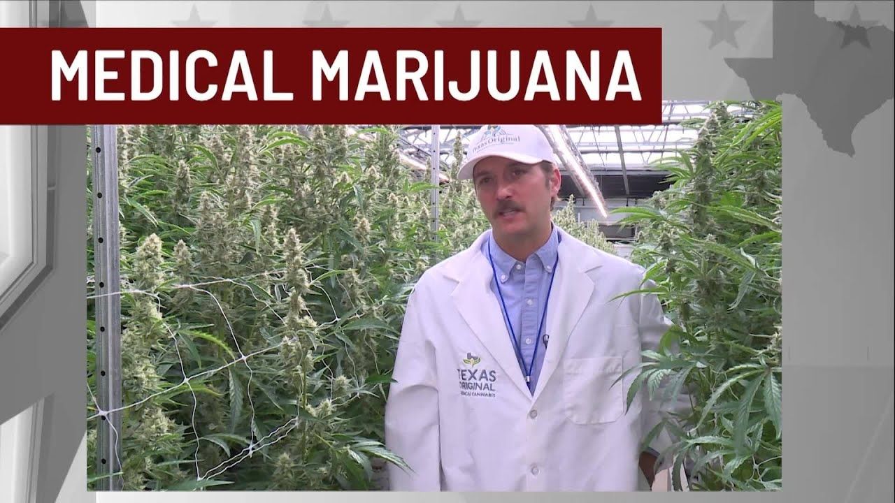 State of texas medical cannabis businesses evolve with increase in.jpg