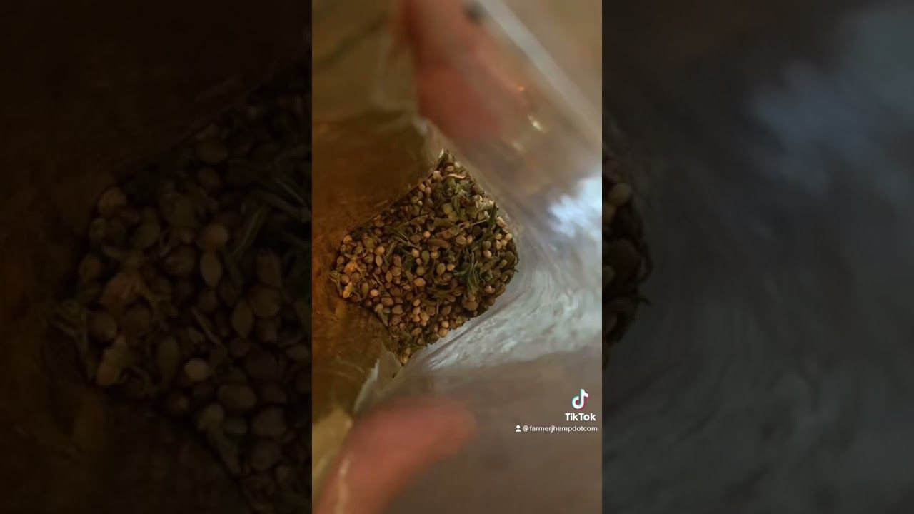 1769317862 maxresdefault.jpg