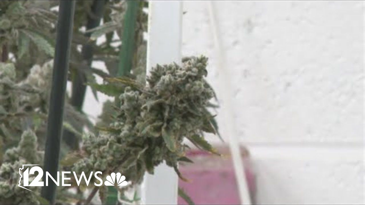 1761307439 maxresdefault.jpg