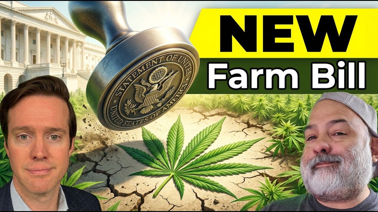 1771957593 maxresdefault.jpg