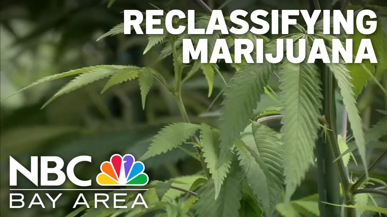 1765640194 maxresdefault.jpg