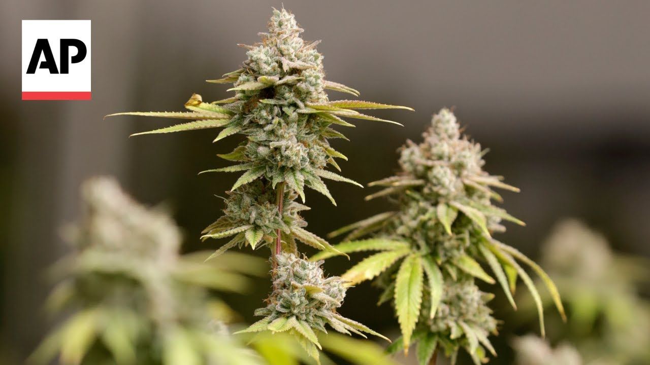 1761221548 maxresdefault.jpg