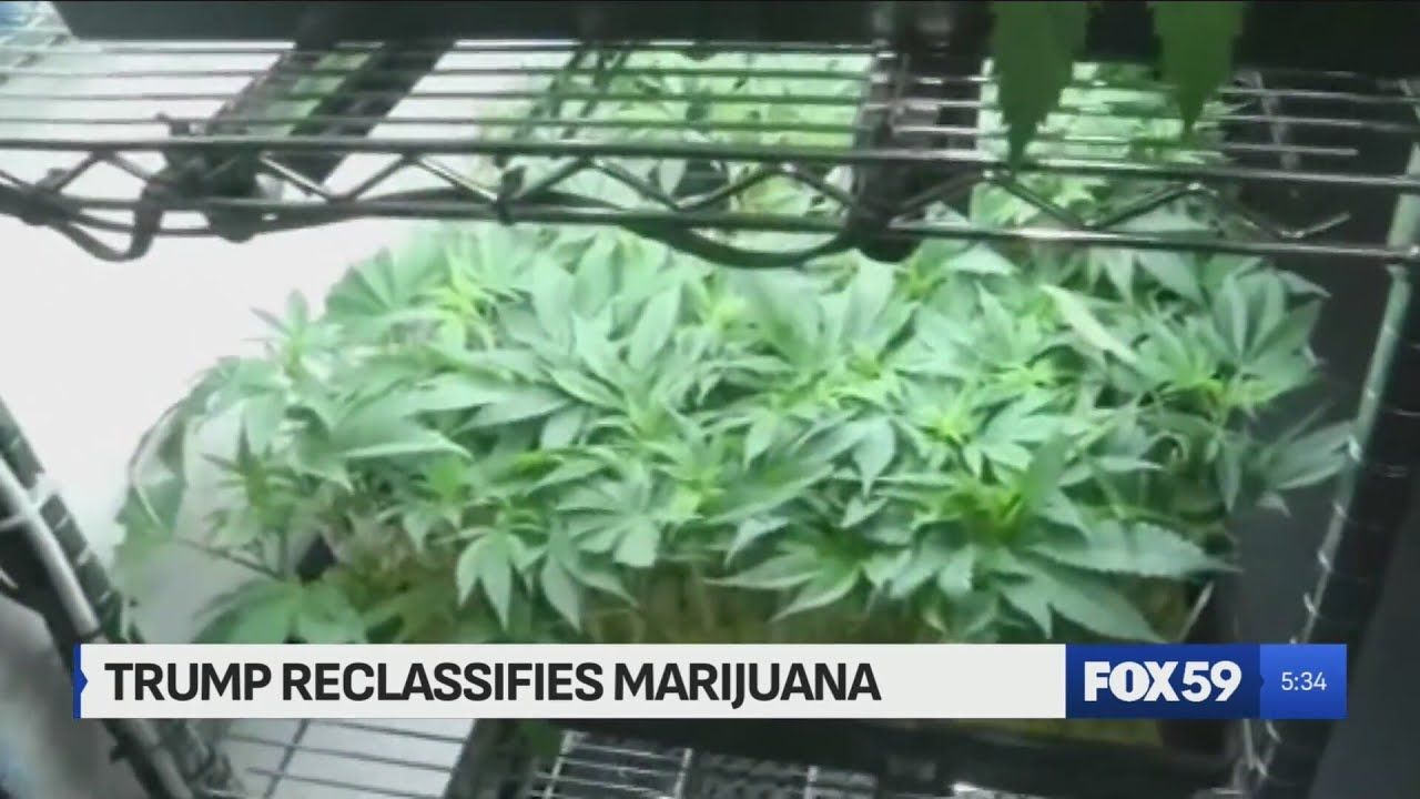 1767024752 maxresdefault.jpg