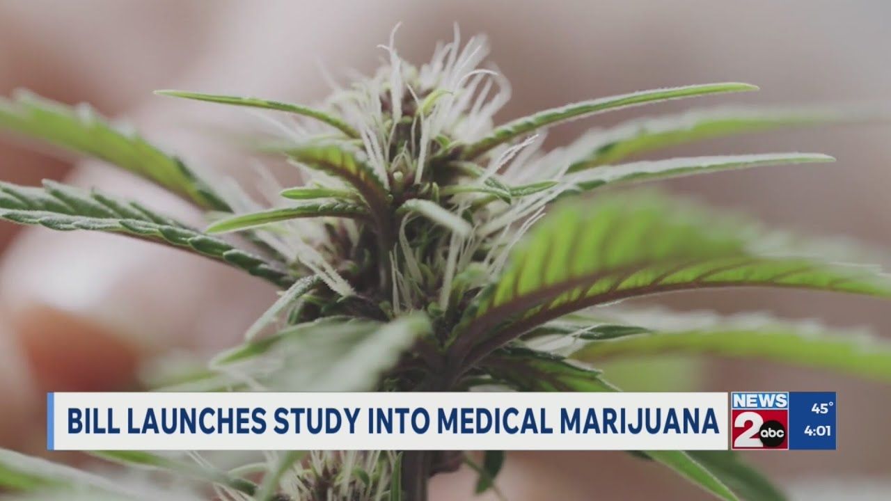 Tn bill would launch study into medical marijuana.jpg