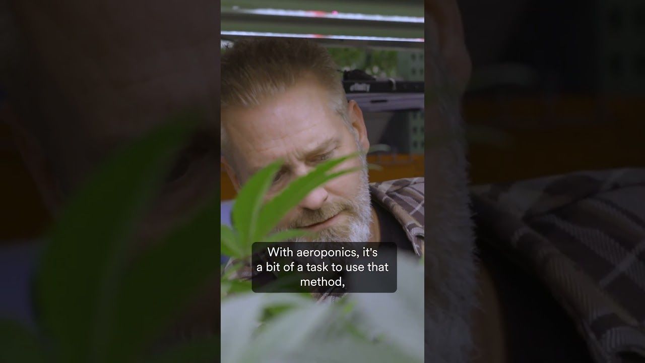 1766931541 maxresdefault.jpg