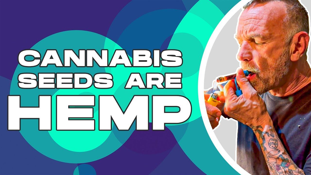 1762649455 maxresdefault.jpg